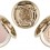 What I’m Lusting After Now – Les Pétales Lumière de Rose Highlight By Chantecaille