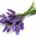 Lavender Infused Beauty Products To Soothe The Soul Lavender Infused Beauty Products To Soothe The Soul