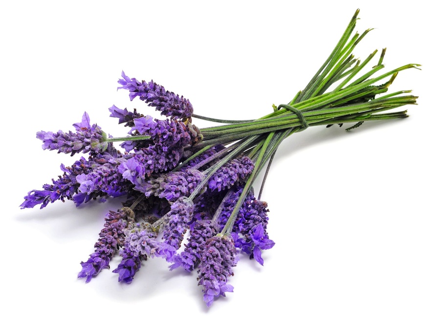 Lavender Infused Beauty Products To Soothe The Soul